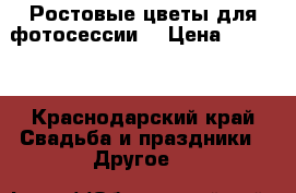 Ростовые цветы для фотосессии  › Цена ­ 1 700 - Краснодарский край Свадьба и праздники » Другое   